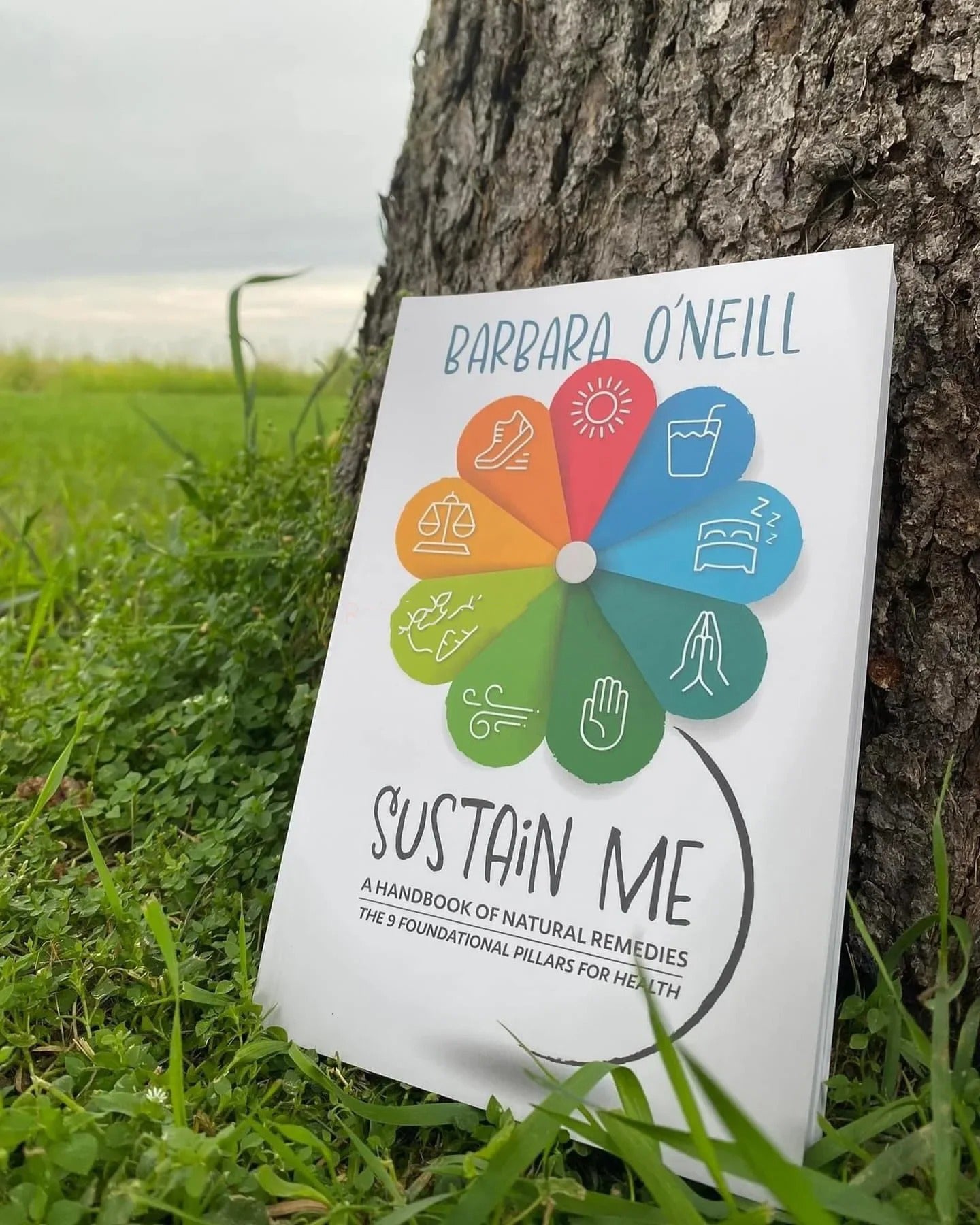 Sustain Me by Barbara O'niell