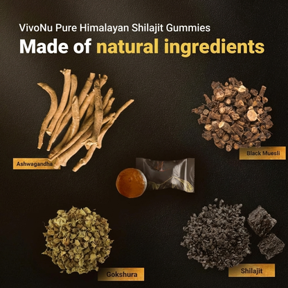 Himalayan Shilajit Gummies